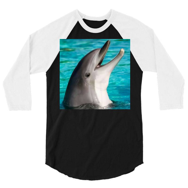 Dolphins 3/4 Sleeve Shirt | Artistshot