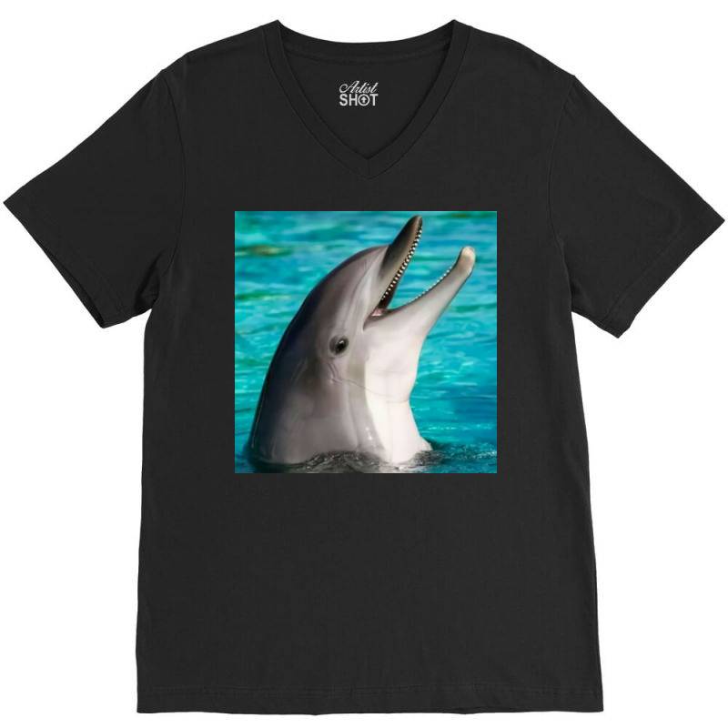 Dolphins V-neck Tee | Artistshot
