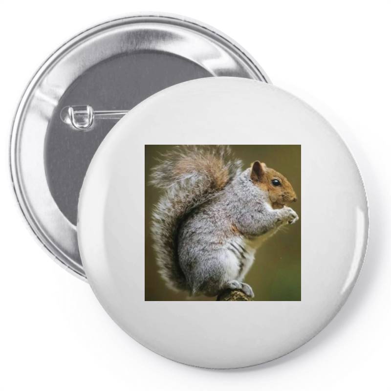 Squirrel Pin-back Button | Artistshot