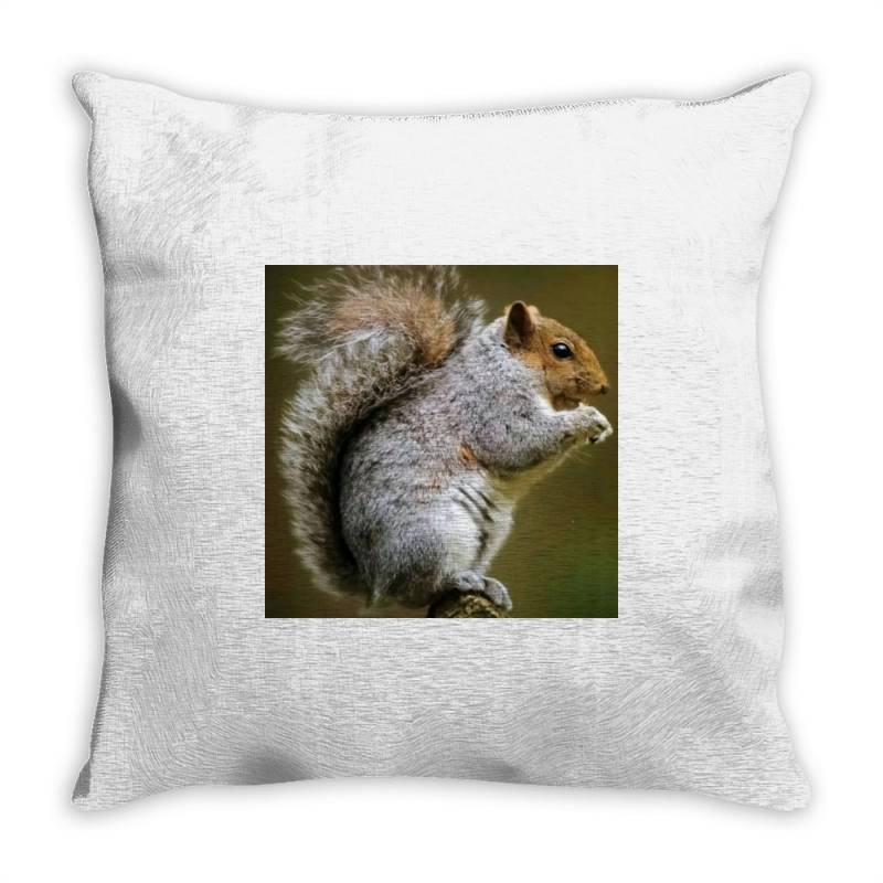 Squirrel Throw Pillow | Artistshot