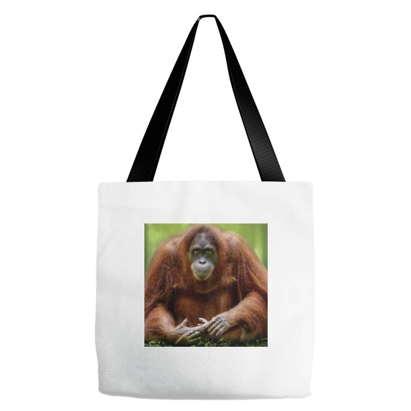 Chimpaji Tote Bags | Artistshot