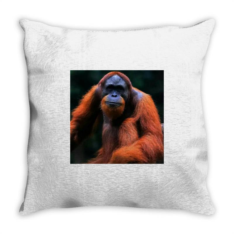 King Throw Pillow | Artistshot