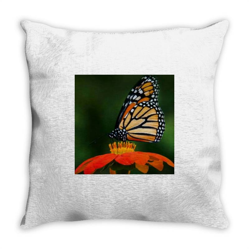 Butterflies Throw Pillow | Artistshot