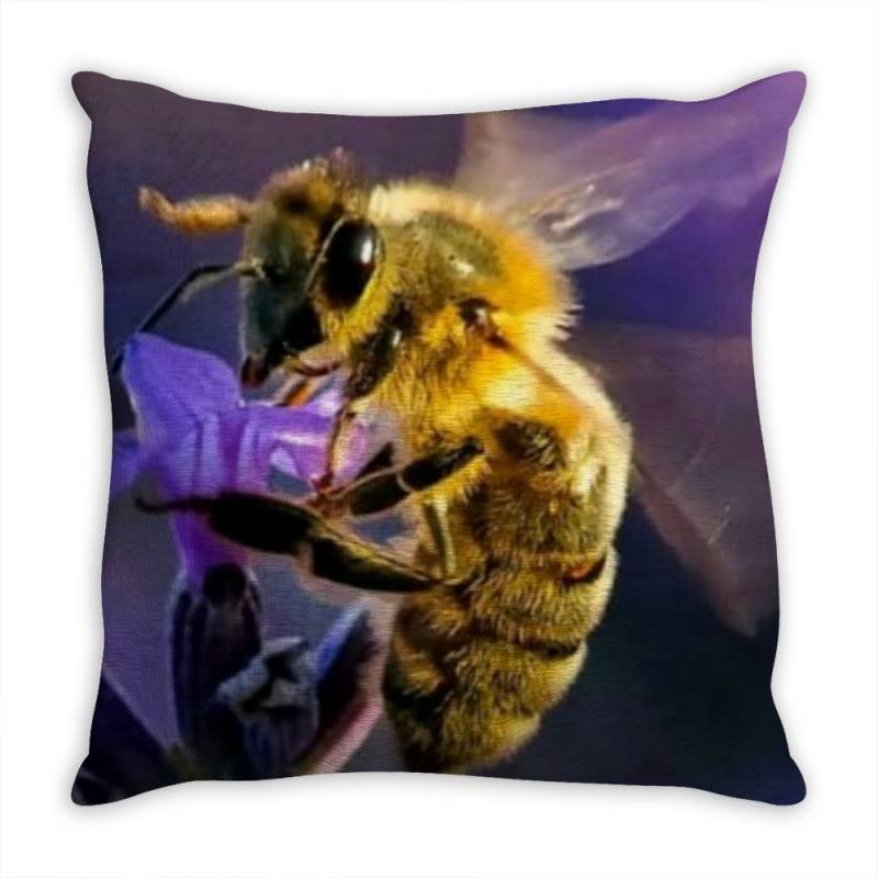 Positivity Today Throw Pillow | Artistshot