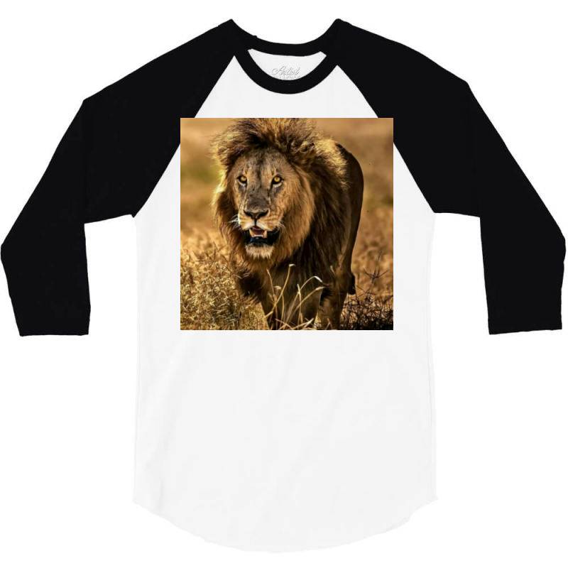Lion 3/4 Sleeve Shirt | Artistshot