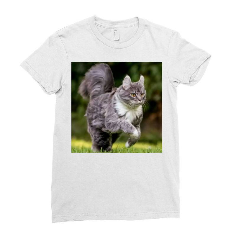 Cat Ladies Fitted T-shirt | Artistshot