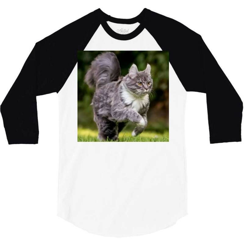 Cat 3/4 Sleeve Shirt | Artistshot
