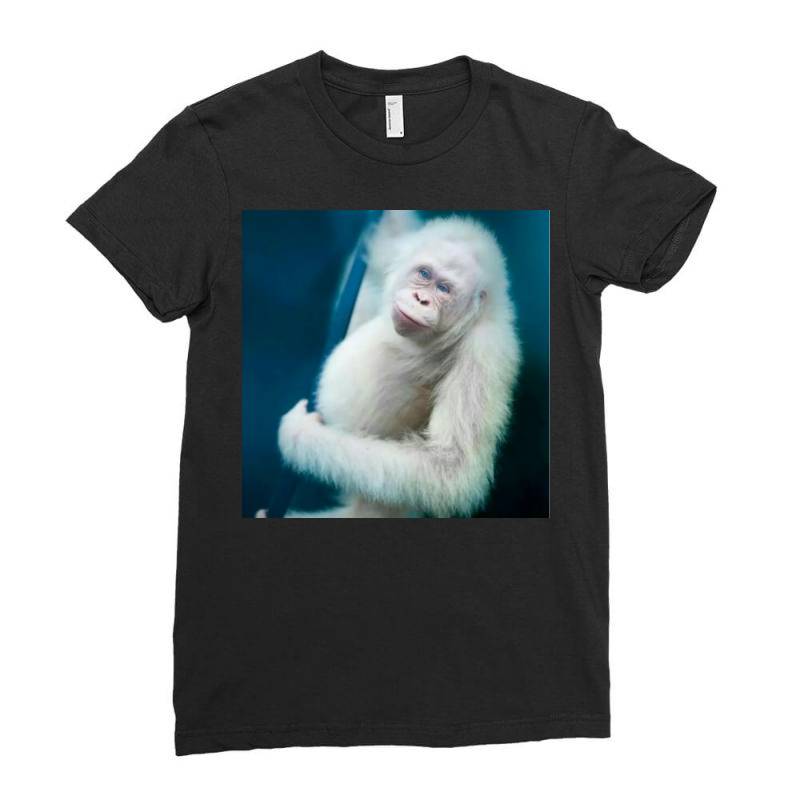 Albino Orangutan Ladies Fitted T-shirt | Artistshot
