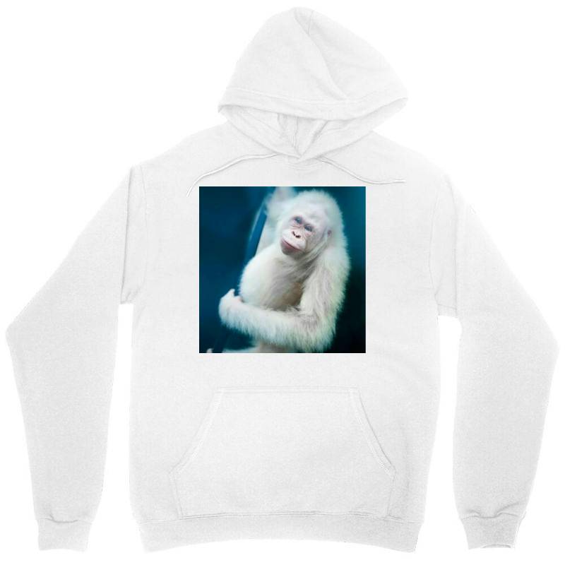 Albino Orangutan Unisex Hoodie | Artistshot