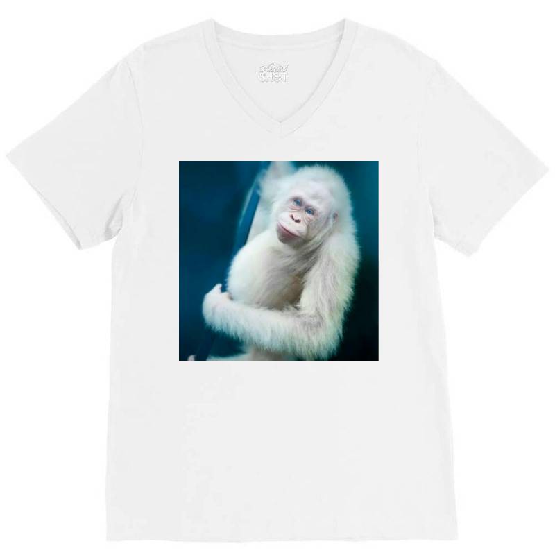 Albino Orangutan V-neck Tee | Artistshot