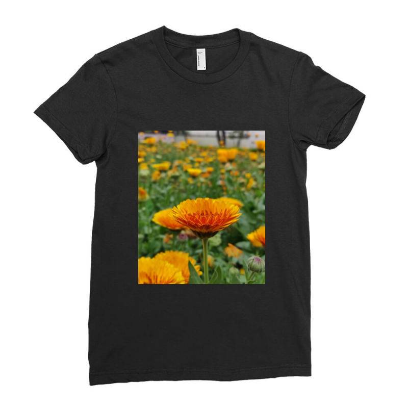 A.k Ladies Fitted T-shirt | Artistshot