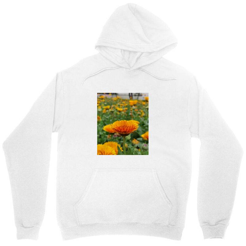 A.k Unisex Hoodie | Artistshot