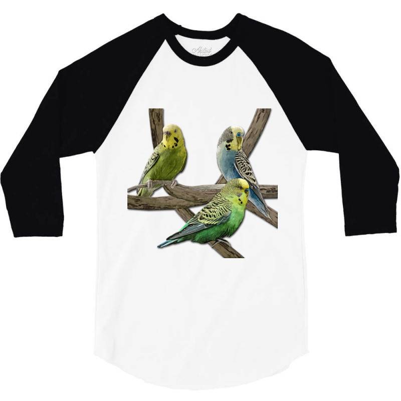 Bird Pet Budgie Parrot Animals 3/4 Sleeve Shirt | Artistshot