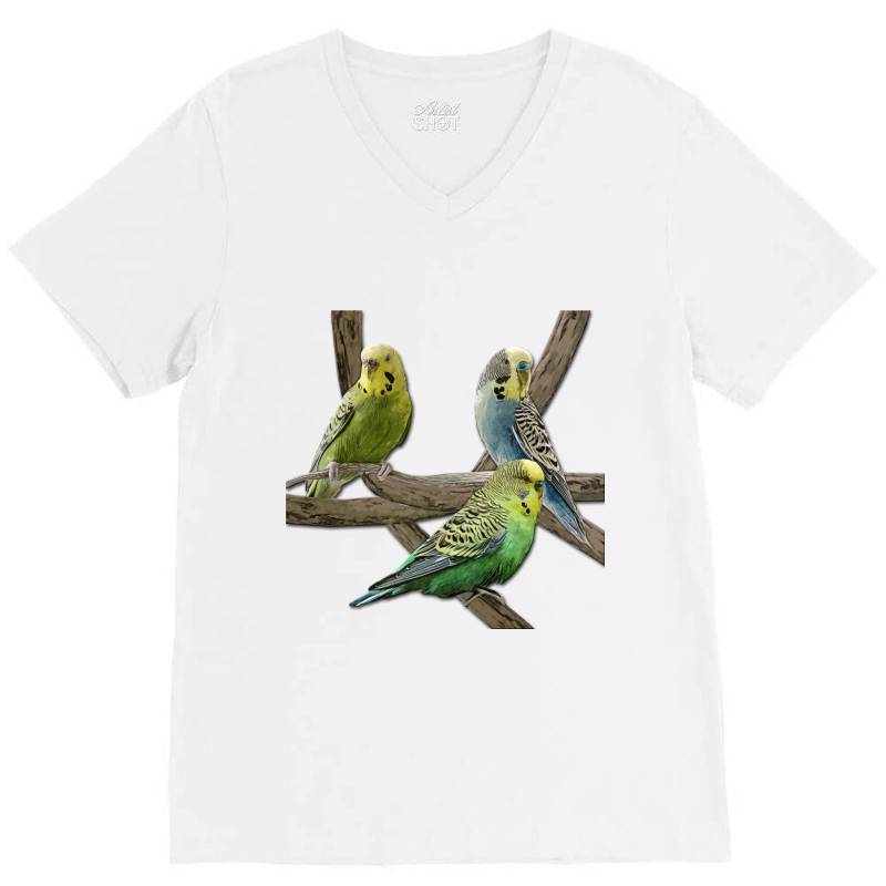Bird Pet Budgie Parrot Animals V-neck Tee | Artistshot