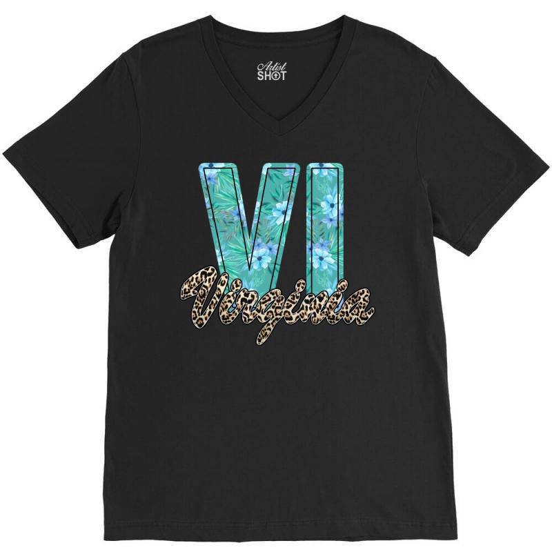 Virginia V-neck Tee | Artistshot